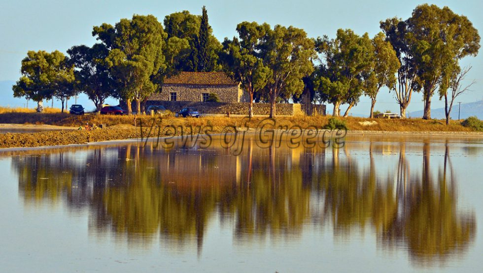 Στους δρόμους των πουλιών